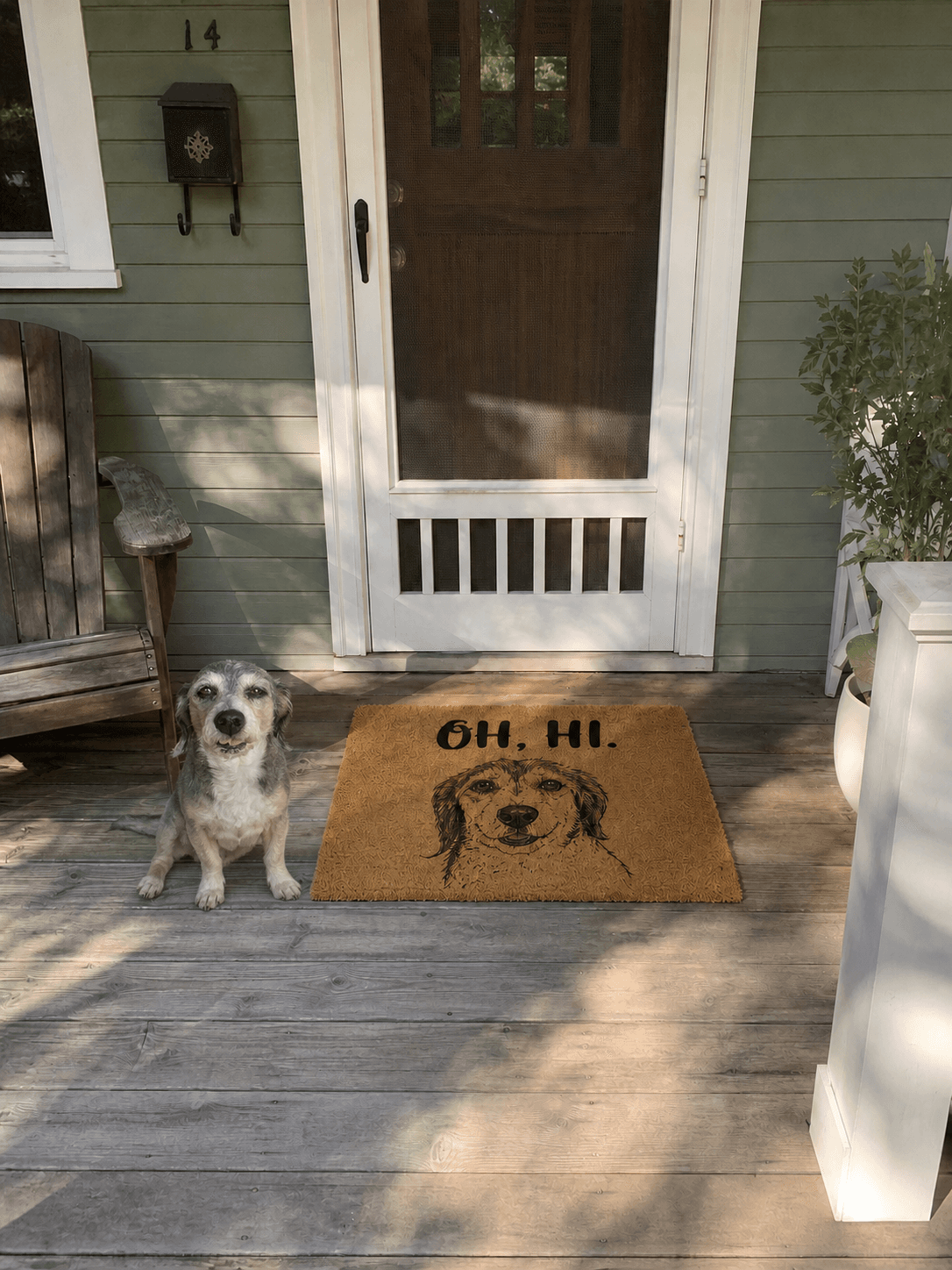 Senior terrier beside an outdoor Oh, hi doormat