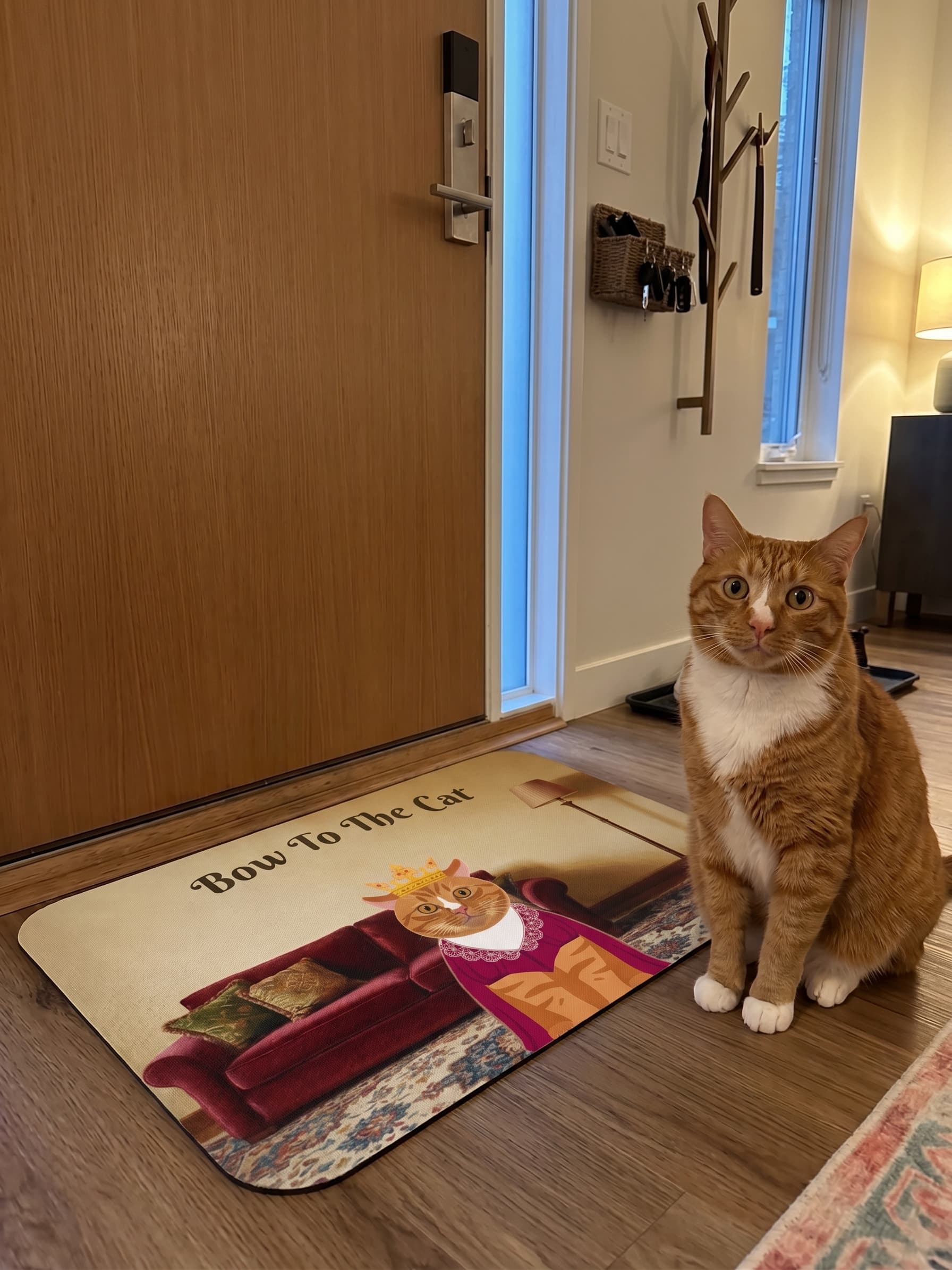 Gnoochi the cat beside a colorful indoor portrait mat