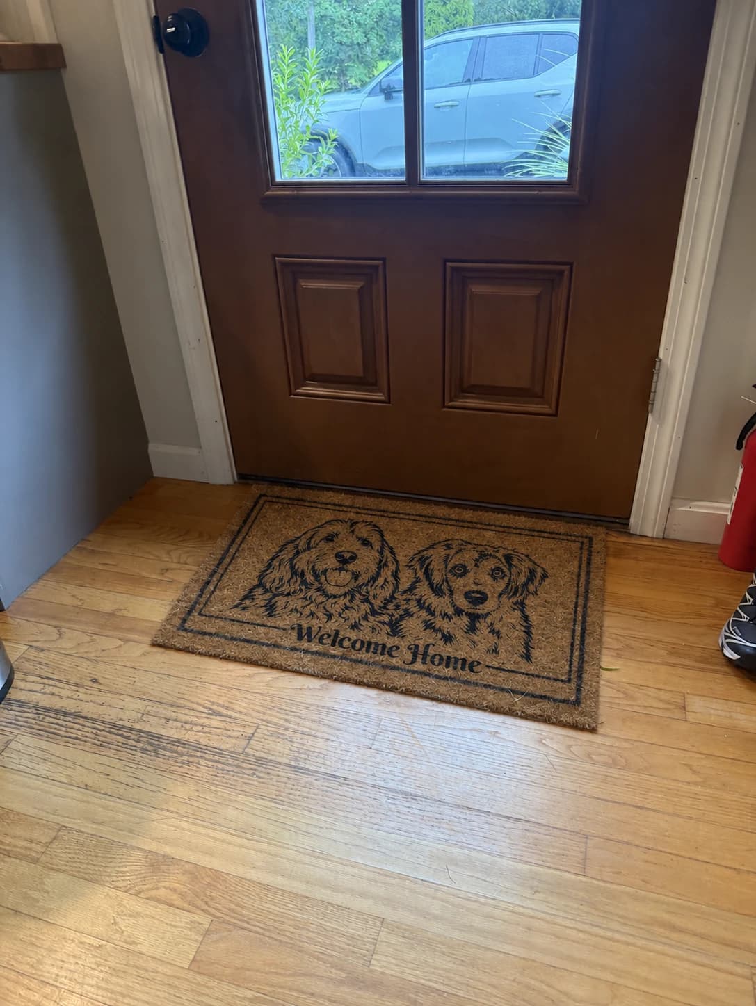 Two pet portraits together on a Welcome Home coir mat